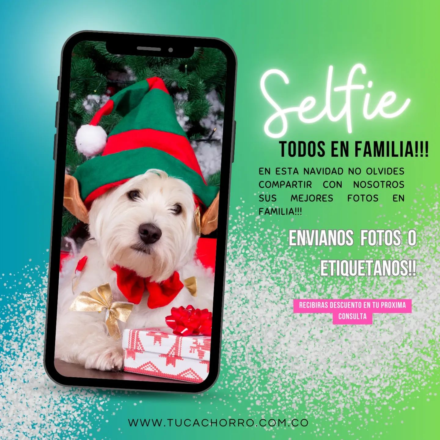 🎄🎄🎁🎁 a toda nuestra gran familia tucachorro.com.co los invitamos a qué nos compartan o nos etiqueten en las fotos de esta hermosa época, nuestros amigos peluditos también nos acompañan a celebrar esta hermosa Navidad 🎄🎄🎄🎄