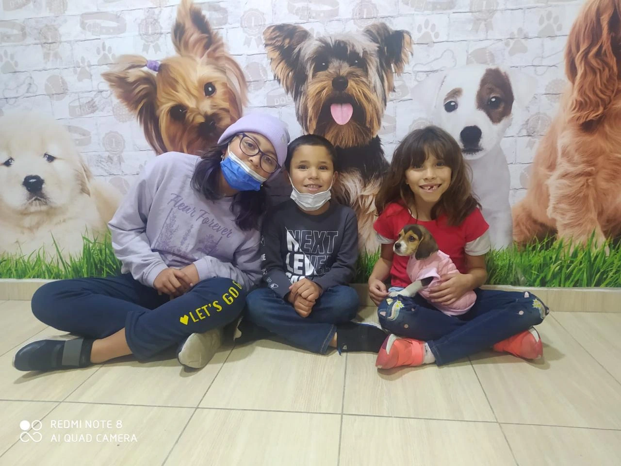 Venta de Cachorros clientes (12)