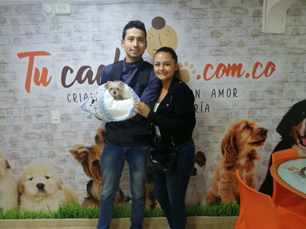 Venta de Cachorros