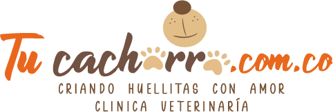 Venta-de-Cachorros