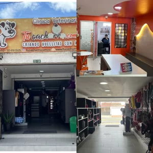 Clínica veterinaria