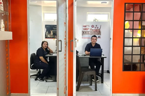 Clínica veterinaria
