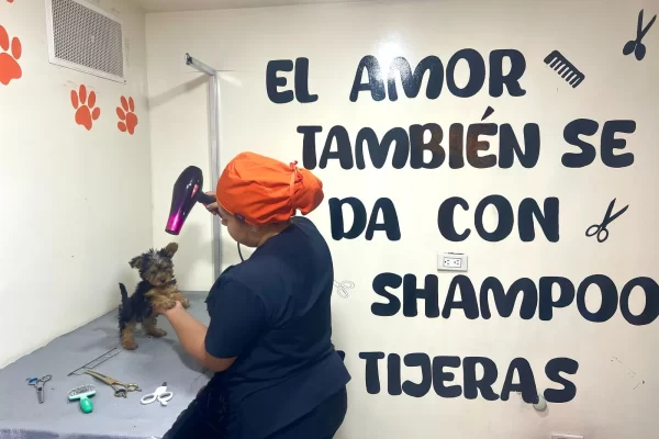peluqueria-Canina